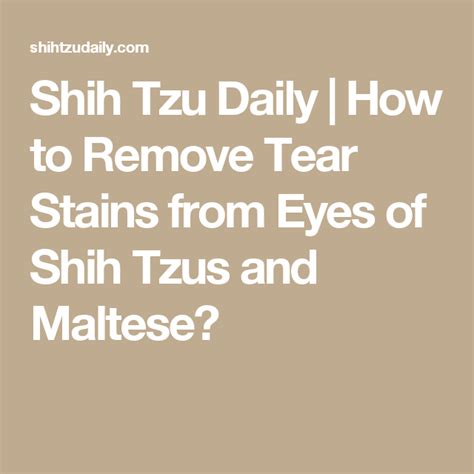 Learn how to remove tea stains from just about anything. Shih Tzu Daily | How to Remove Tear Stains from Eyes of Shih Tzus and Maltese? | Tear stains ...
