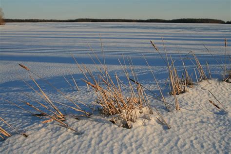 Along frozen shore, Long Sault Ontario | deanspic | Flickr