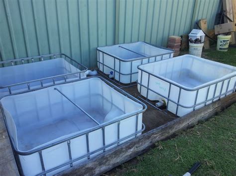 Controlled conditions of aquaponics aeroponics enhances the quality of the harvest. Aquaponics Systems Supply's for Sale | Backyard Aquaponics ...