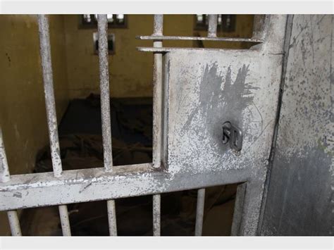 Crime offenders reflect on youth day. Cellphones, drugs and home-brewed beer seized at Westville ...