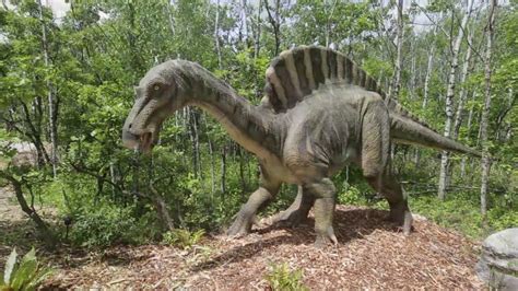 Videos De Dinosaurios Reales Seo Positivo