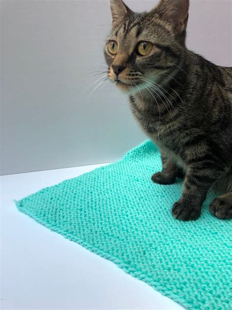 Blanket For Cats Blanket For Kittens Hand Knit Cat Blanket Etsy
