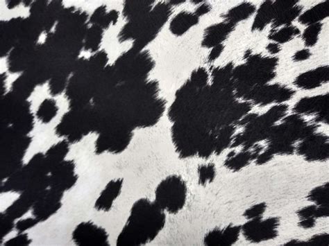 Black And White Faux Cowhide Fabric All About Cow Photos