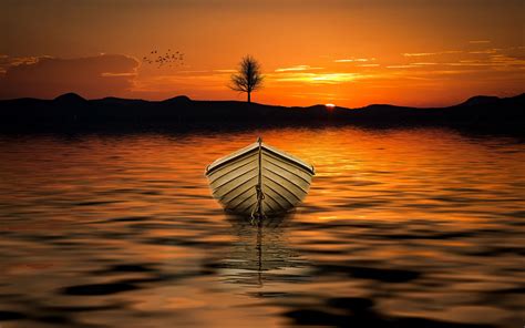 Download Wallpaper 2560x1600 Boat Sunset Skyline Lake Tree Widescreen 1610 Hd Background