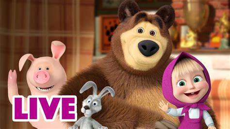 🔴 Live Stream 🎬 Masha And The Bear 🐯🐼 All Of Us 🐻🦔 Youtube