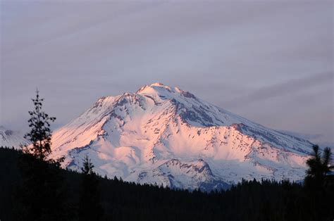 Mount Shasta Oregon Photograph By Darcy Evans Fine Art America