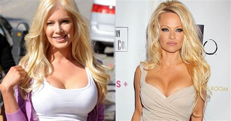 15 Famous Artificially Busty Celebrities Therichest