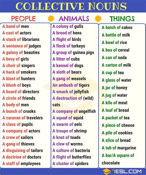 Collective Noun Definition List And Examples Of Collective Nouns In