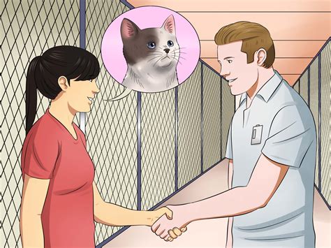 He was a rescue and assuredly at very least half bred maine coon. How to Give Newborn Kittens Away: 11 Steps (with Pictures)