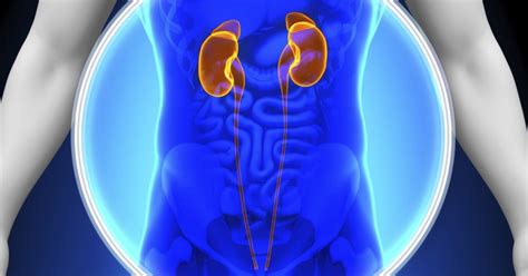 What Would Cause An Enlarged Kidney