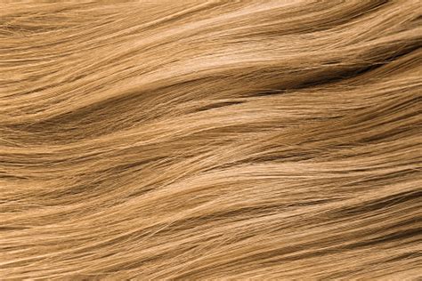 Blonde Hair Blond Hair Texture Stock Photo Download