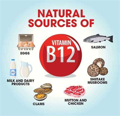 10 Foods That Are High In Vitamin B12