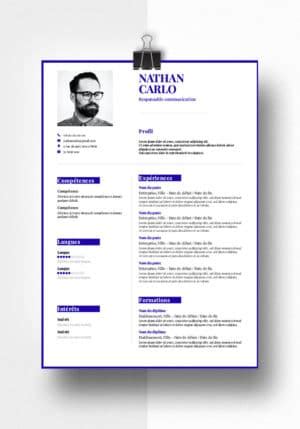 Give your cv format a professional look in my free online cv builder. Modèles de CV Minimal 2021 | Fisio