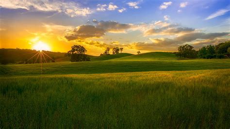 Hd Wallpaper Greenfield Surface With Trees Under Cloudy Sky During Sun