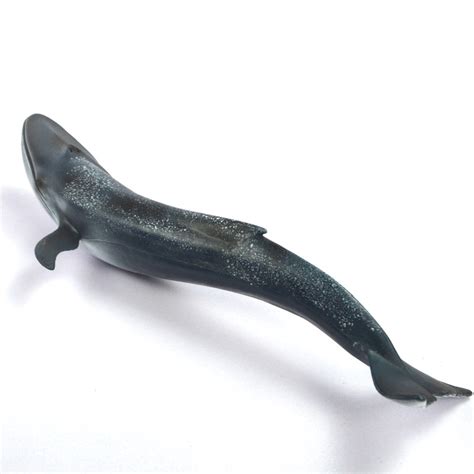Pnso 26cm Realistic Blue Whale Sea Animal Model Solid Plastic Figure
