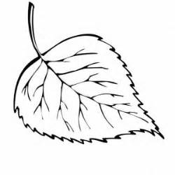By filling colors on the color pages characters your child's handwriting will get ginormous amounts of improvements and also most of the kids coloring pages have to fill with colors in multiple alphabets too, moreover, the kids will try to fill. Amazing Drawing Of Maple Leaf Coloring Page : Kids Play Color