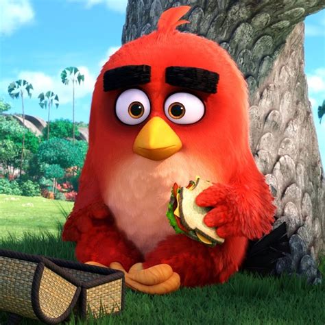 Angry Birds La Película La Gran Batalla Entre Aves Y Cerdos Verdes