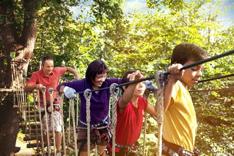 Treetop Quest Explore Our Aerial Parks With Zip Lines And Treetop