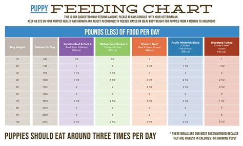 Feeding Chart Ricks Dog Deli