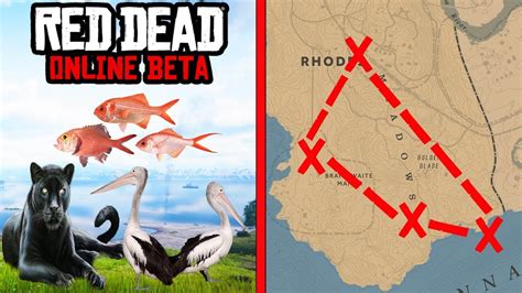 Money makes the world go round in the game, being necessary to buy better camp equipment, pay off expensive bounties, and upgrade your gear. MAKE $300 HOURLY WITH THIS PATH IN RED DEAD ONLINE! RDR2 UNLIMITED MONEY METHOD! FAST & EASY ...