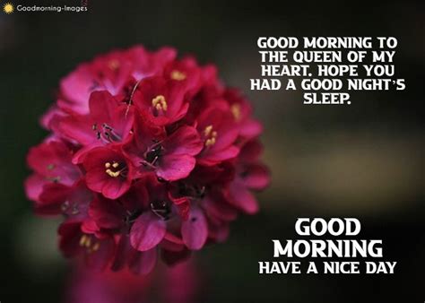 100 Romantic Good Morning Wishes Messages For Bf Gf