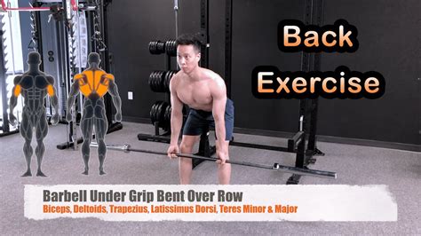 Back Underhand Grip Barbell Bent Over Row Exercise Library Youtube