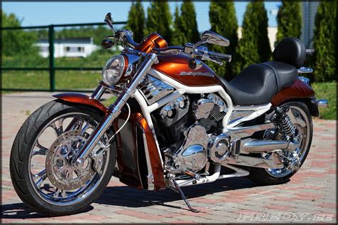 03 Harley Davidson Vrsca V Rod Fredyee Motos Motocicletas