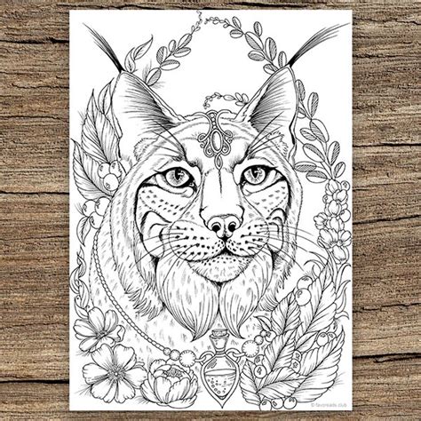Lynx Printable Adult Coloring Page From Favoreads Coloring Etsy