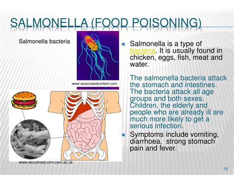 Salmonella Infographics Mucus In Stool Bacterial Diseases Mucus My Xxx Hot Girl
