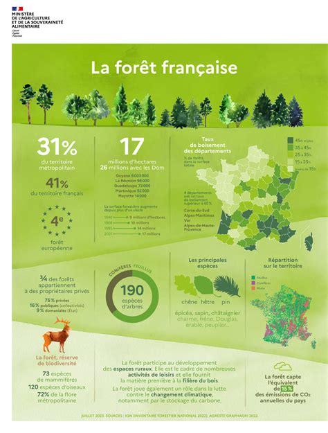 Infographie La Forêt Française Ministère De Lagriculture Et De La