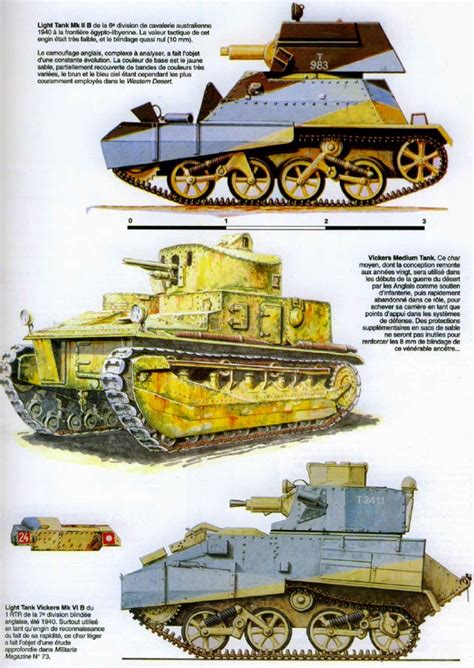 Africa Axis And Allied Tanks And The Eighth Army