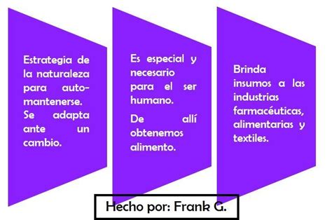 The brainly community is constantly buzzing with the excitement of endless collaboration, proving that learning is more fun — and more effective — when we put our heads together. Ciencias Sociales Semana 24 4to Conocemos nuestra ...
