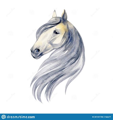 Pintura Aquarela De Retrato De Cavalo Isolada Sobre Fundo Branco