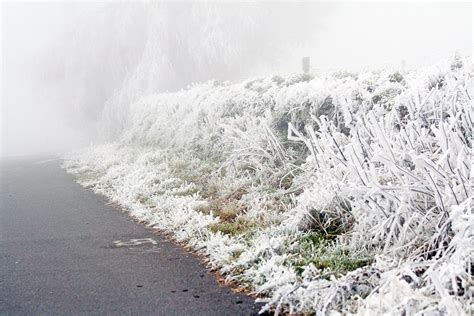 Free Images Grass Branch Cold Fog Road Frost Ice Weather