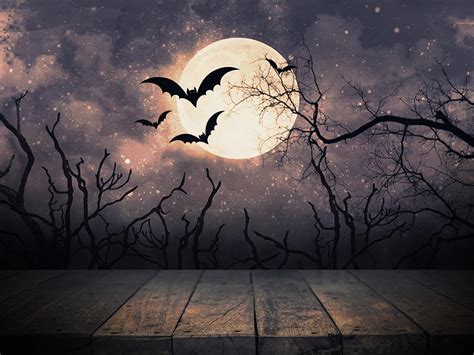 Halloween Night Moon And Bats Photo Booth Backdrop Dbd H19004 Dbackdrop