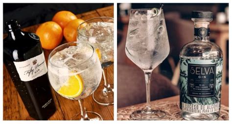 Tipos De Ginebra Una Guía Para Los Amantes Del Gin