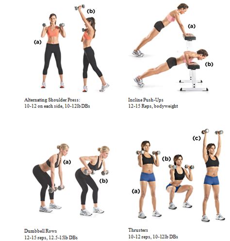 General characteristics of a vertebra. Upper Body Workout (With images) | Upper body workout ...