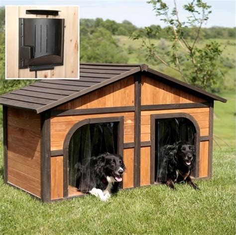 Best Insulated Dog House For 2 Large Dogs Fits Two Large Bulldogs