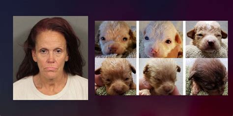 Coachella Woman Admits To Dumping 7 Newborn Puppies In Trash Can Is Sentenced To 365 Days In