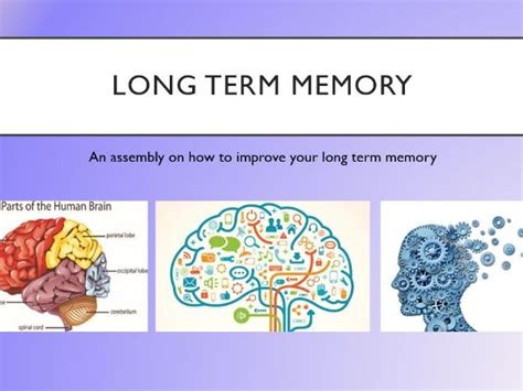 Long Term Memory Assembly Teaching Resources