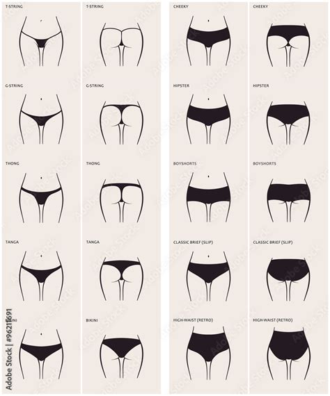 10 Types Of Womens Panties Vector Set Of Underwear Silhouette Stock