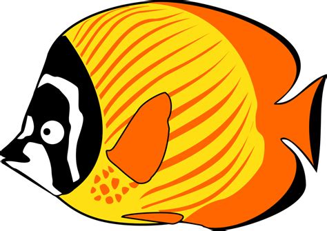 Sea Creatures Drawing | Free download on ClipArtMag
