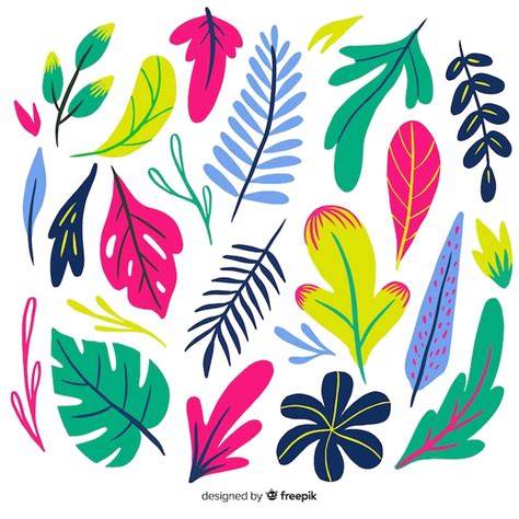 Free Vector Hand Drawn Tropical Colorful Leaves Collection