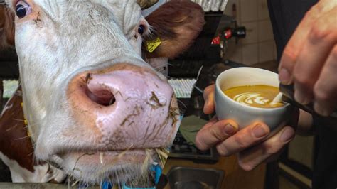 Van Koe Naar Cappuccino Vraag Naar Lokaal Voedsel Stijgt Maar