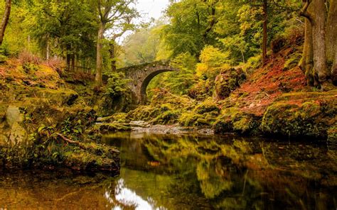 Old Stone Bridge Over Troubled River In The Forest Wallpapers And