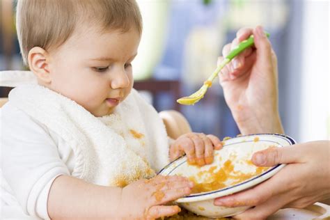 Alimentación Complementaria En Bebés ¿cómo Lograrlo Correctamente