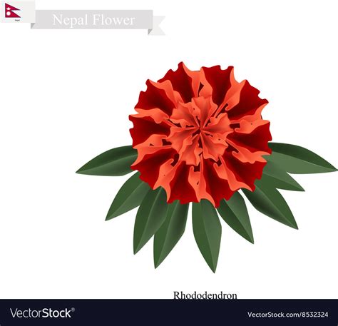 Free Free 268 National Flower Of Svg SVG PNG EPS DXF File
