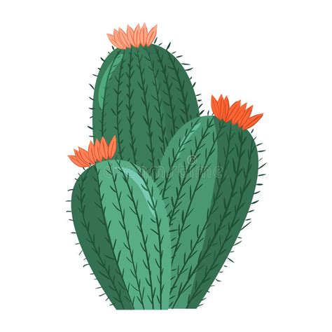 Cartoon Cactus Vector Bright Cacti Colored Bright Cacti Flowers