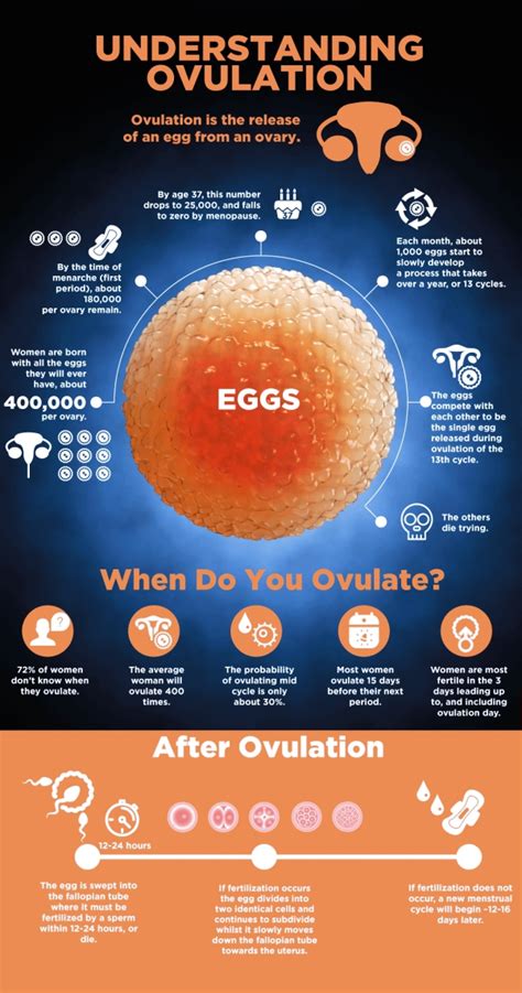 Best Way To Know If You Are Ovulating Just For Guide