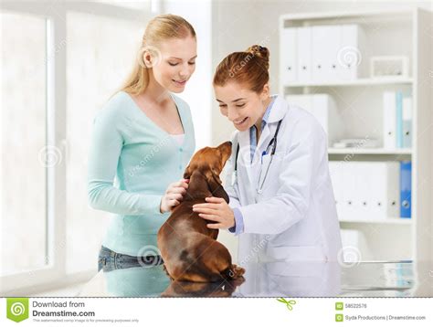 Well pet vet clinic is a primary care,veterinary family practice. Happy Woman With Dog And Doctor At Vet Clinic Stock Photo ...